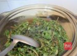 蒜泥马齿苋的做法图解2