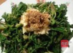 凉拌苦苦菜的做法图解7