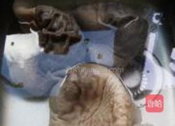 卤水猪肚的做法图解13