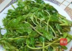 盐渍香椿的做法图解14
