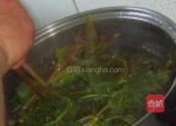 盐渍香椿的做法图解6