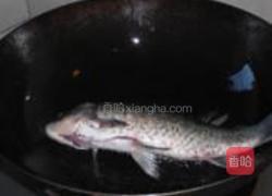 海带豆腐鲫鱼汤的做法图解4