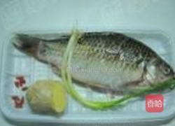 鲫鱼炖汤圆的做法图解1