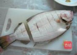 清蒸牙片鱼的做法图解6