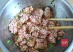 紫菜虾皮肉饺的做法图解1