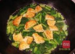 小白菜豆饼白蛤汤的做法图解8