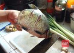 红烧鳊鱼的做法图解4