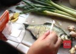 红烧鳊鱼的做法图解5