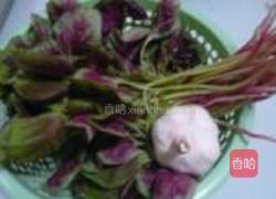 蒜香红苋菜的做法图解1