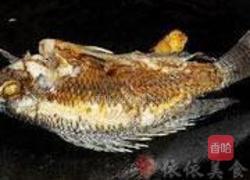 罗非鱼的做法图解3