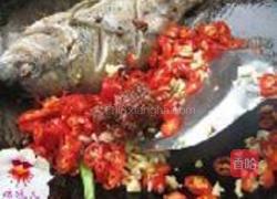 红烧罗非鱼的做法图解4