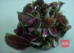 苋莱皮蛋豆腐的做法图解1