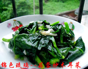 蒜蓉木耳菜