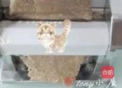 荞麦凉面的做法图解5