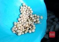 雪梨猕猴桃豆浆的做法图解6