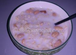 燕麦牛奶花生粥