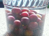 葡萄酒