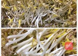 绿豆芽的做法图解6