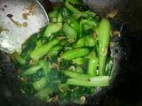 虾米油菜