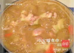 椰汁绿咖哩鸡的做法图解4