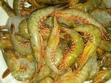 盐水活皮虾