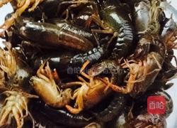 麻辣小龙虾的做法图解1