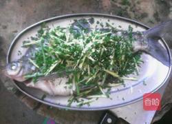 清蒸鱼的做法图解3