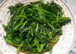 蒜炒穿心莲。