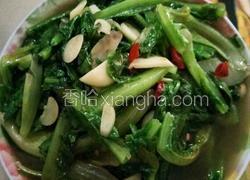 青炒油麦菜