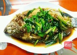 红烧罗非鱼的做法图解3