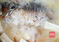 鲫鱼豆腐汤的做法图解3