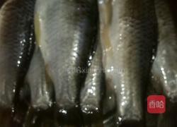 鲫鱼豆腐汤的做法图解1