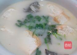 鲫鱼豆腐汤的做法图解6