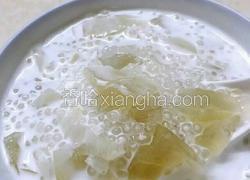 椰汁小丸子