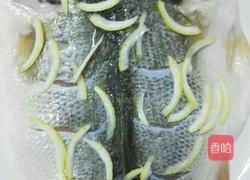 柠香鲈鱼的做法图解2