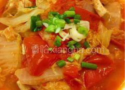 西红柿白菜豆腐