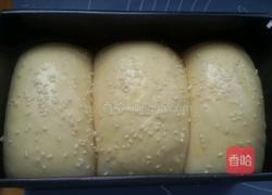 卡仕达小餐包的做法图解15
