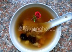 南北杏炖瘦肉汤