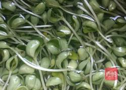 芝香凉拌豆苗的做法图解2
