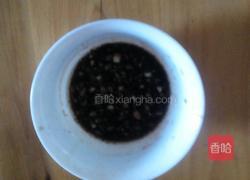 凉拌木耳的做法图解4