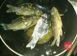 鲫鱼豆腐汤的做法图解10