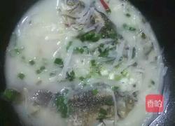 萝卜丝鲫鱼汤的做法图解4