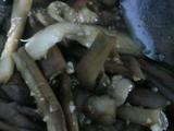 蒜泥茄子