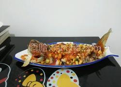 松鼠鲑鱼