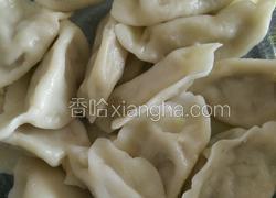 黄瓜肉饺子