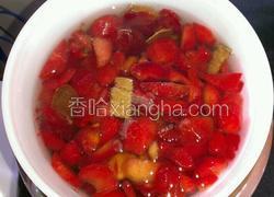 陈皮李子酵素