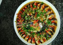 孔雀鱼