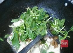 鸡毛菜煮豆腐的做法图解4