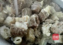 红烧牛肉的做法图解4