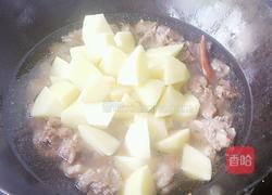 牛肉炖土豆的做法图解4